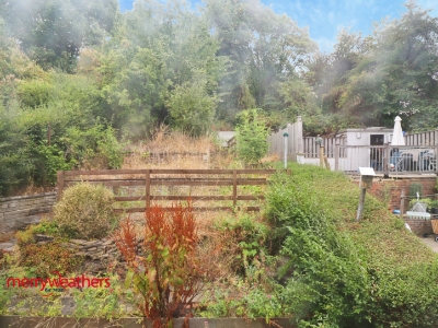 Picture 5